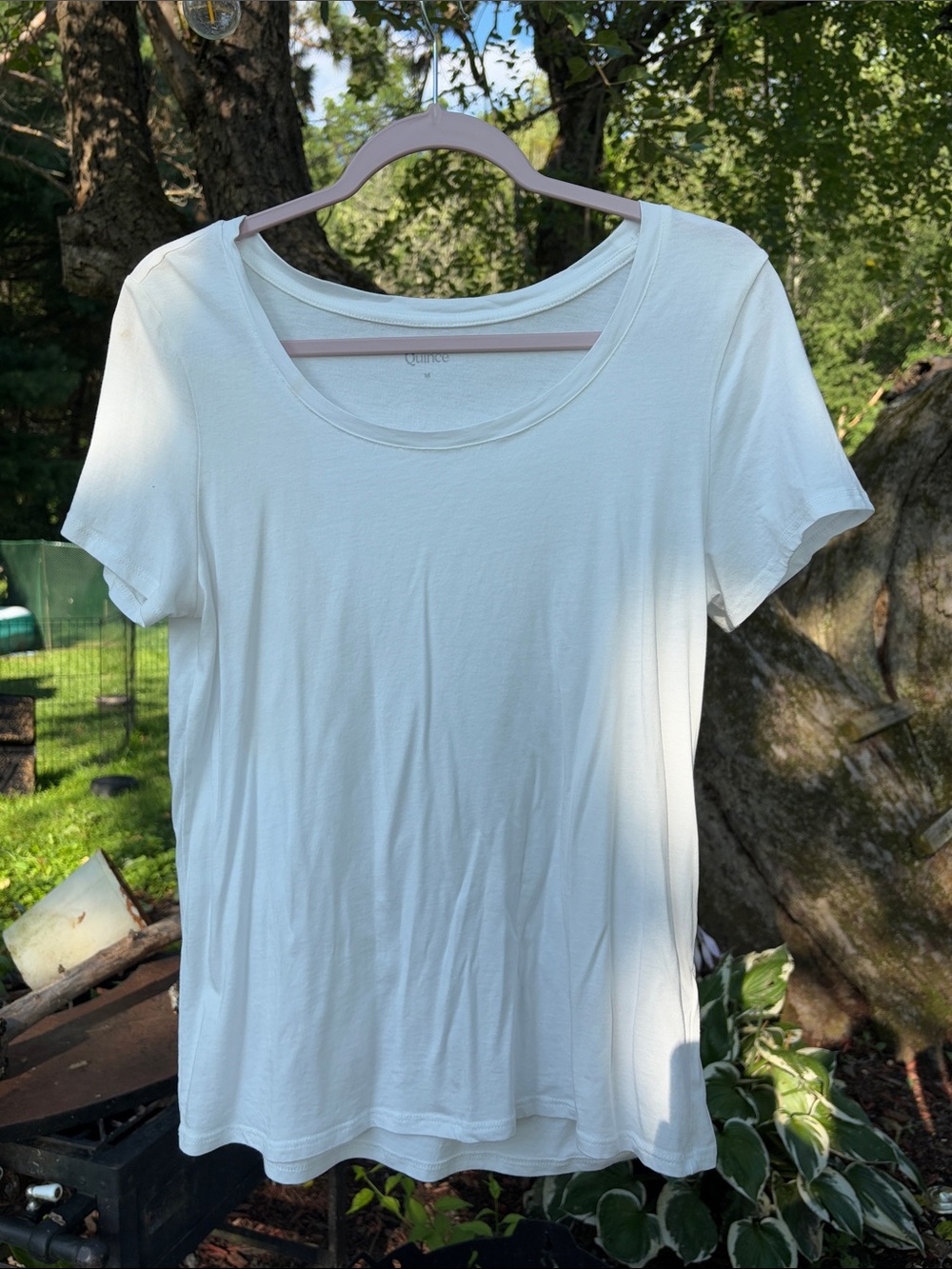 Quince Tshirt